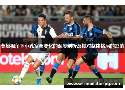 莫塔视角下小孔塞桑变化的深度剖析及其对整体格局的影响 莫塔视角下小孔塞桑变化的深度剖析及其对整体格局的影响