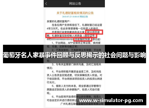 葡萄牙名人家暴事件回顾与反思揭示的社会问题与影响