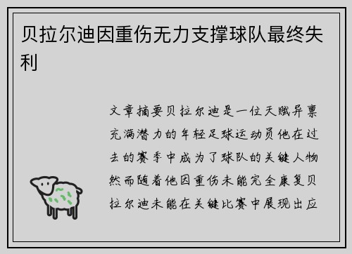 贝拉尔迪因重伤无力支撑球队最终失利 贝拉尔迪因重伤无力支撑球队最终失利
